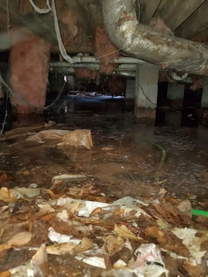 Crawl space flood assessment for Leak Detection & Repair in Albertville